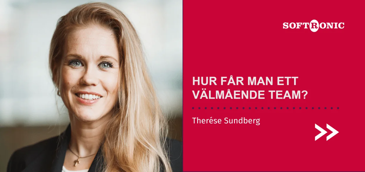 Therese Sundberg banner